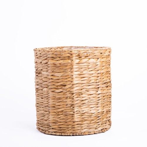 Natural water hyacinth indoor - hyacinth,