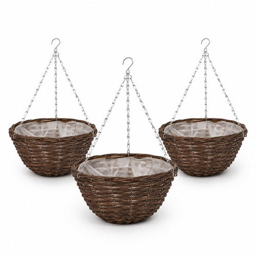 Hanging basket flower - basket,